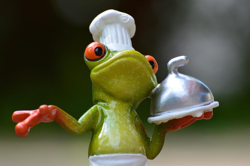Gourmet Food Stations